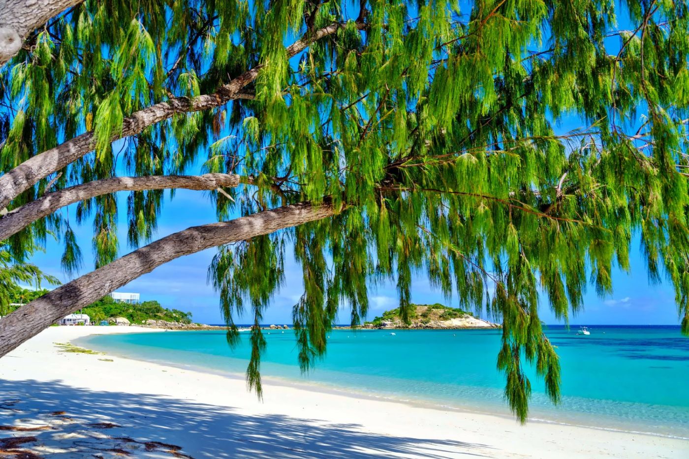 Lizard Island Resort