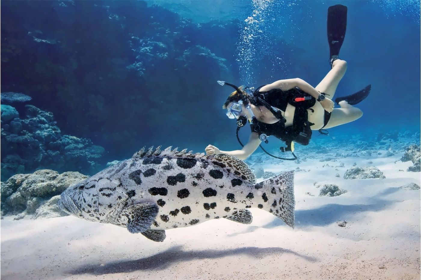 Lizard Island Resort