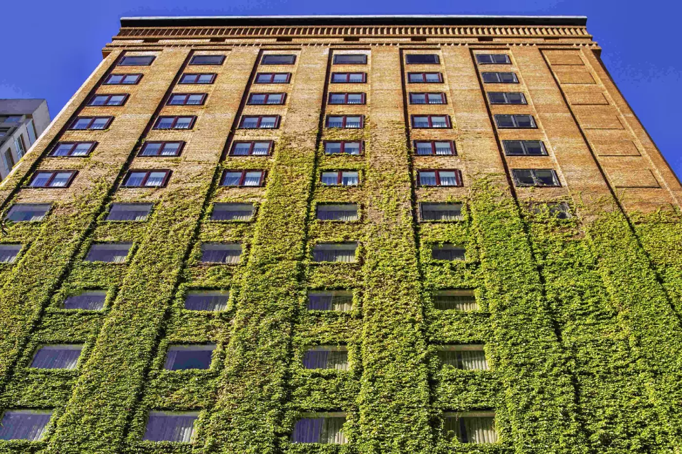 Sofitel Buenos Aires Recoleta