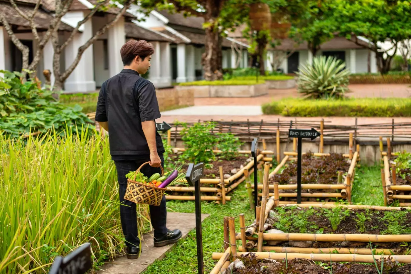 Sofitel Luang Prabang