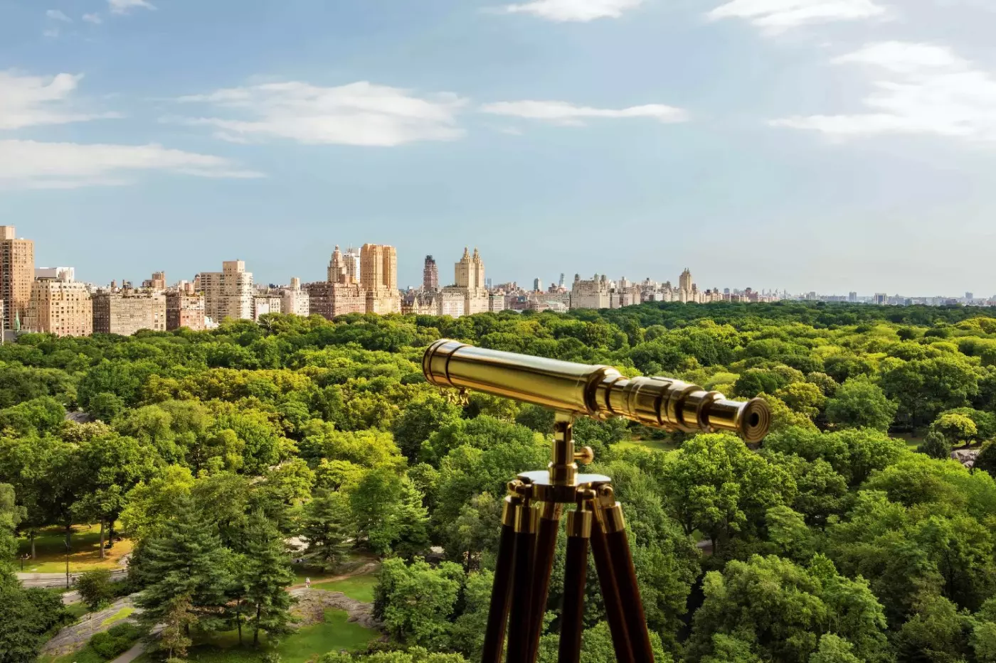 Ritz Carlton Central Park