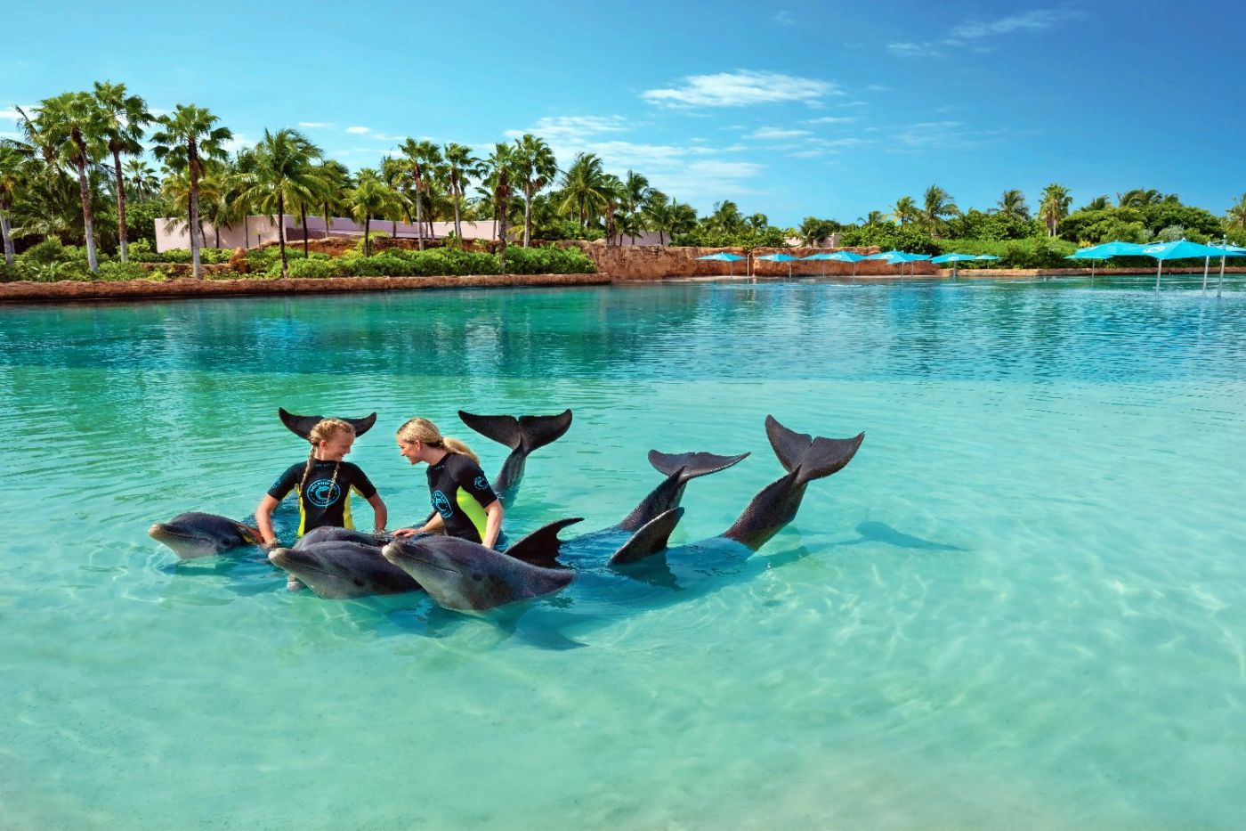 The Royal at Atlantis