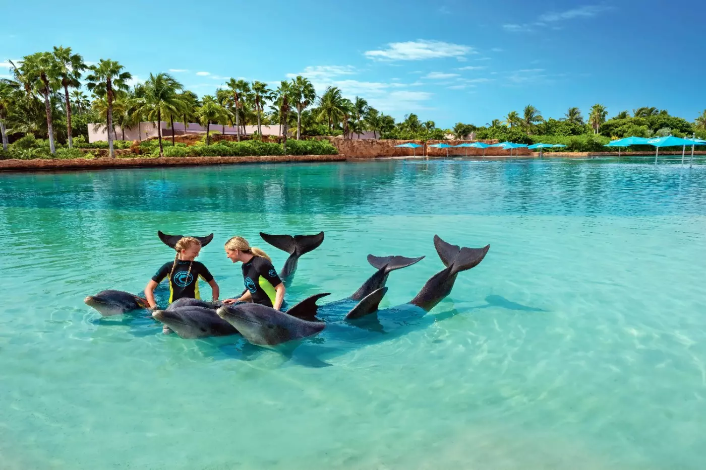 The Royal at Atlantis