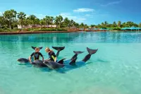 Thumbnail The Royal at Atlantis