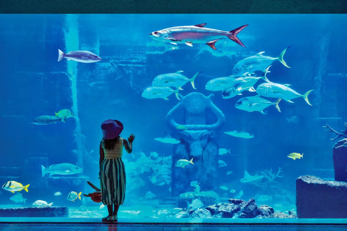 The Royal at Atlantis
