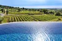 Thumbnail Monaci delle Terre Nere