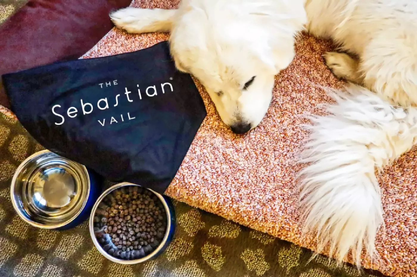 The Sebastian Vail