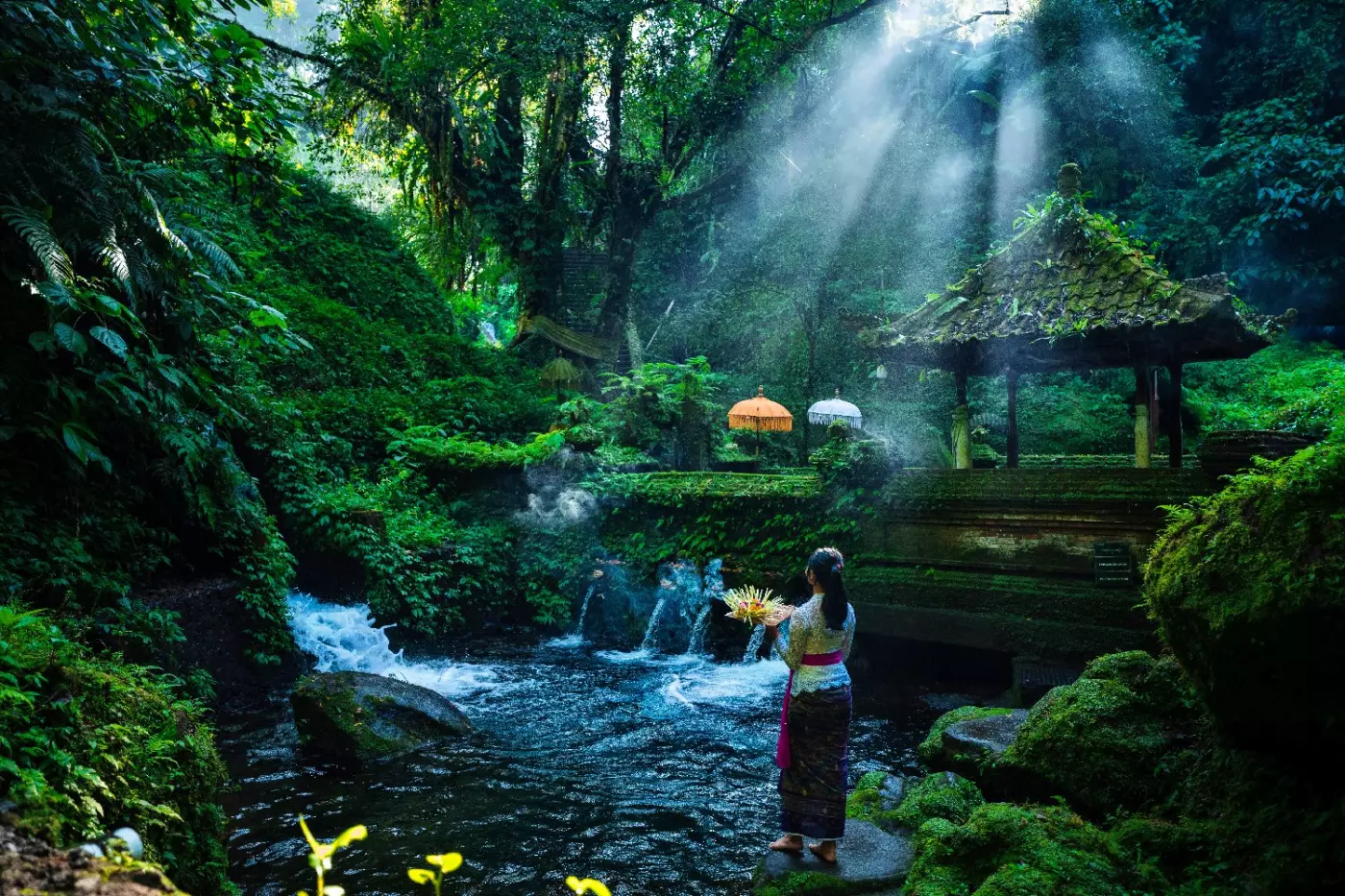 Anantara Ubud Bali Resort