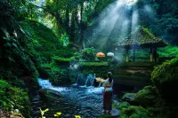 Thumbnail Anantara Ubud Bali Resort