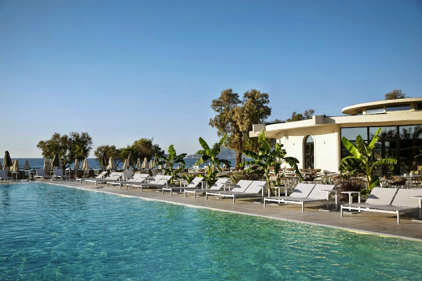 Domes Aulus Zante, Autograph Collection