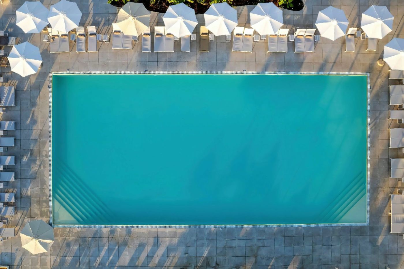 Domes Aulus Zante, Autograph Collection