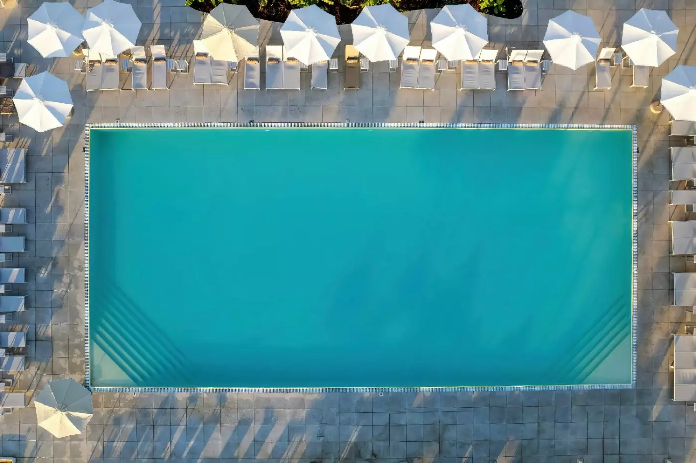 Domes Aulus Zante, Autograph Collection