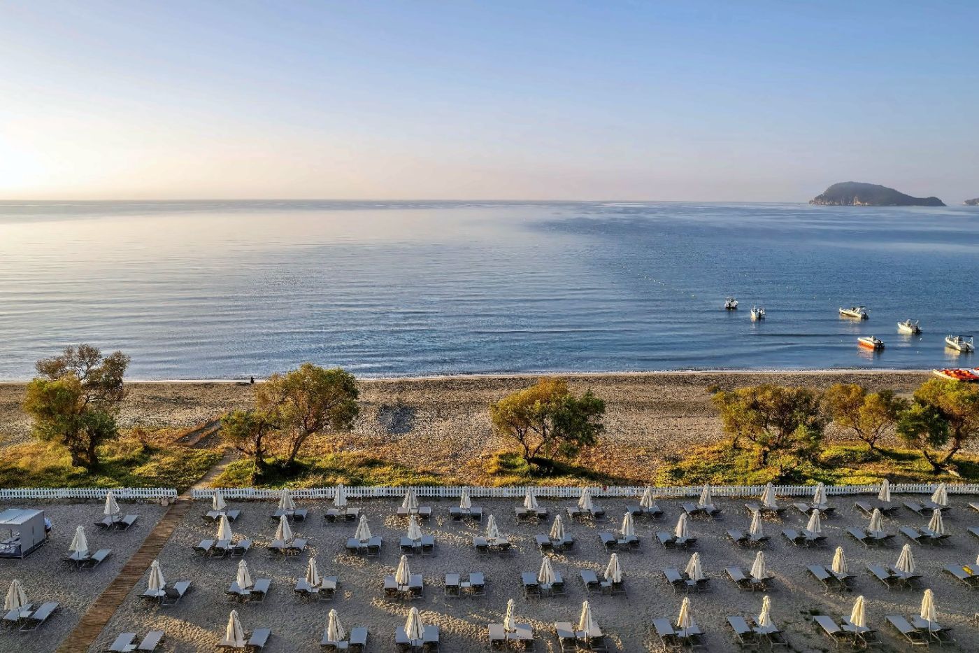 Domes Aulus Zante, Autograph Collection