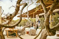 Thumbnail Teranka Formentera