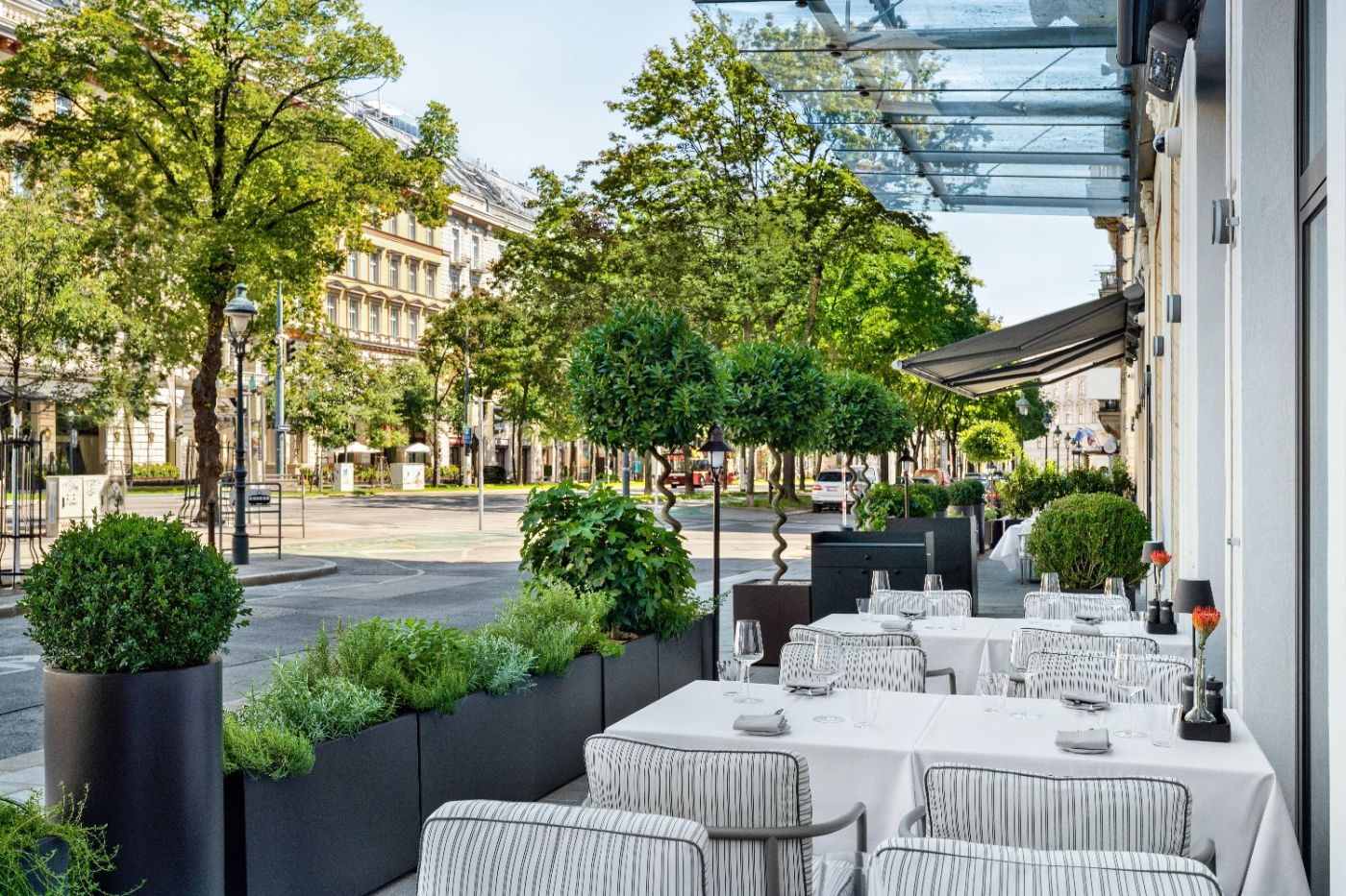 The Amauris Vienna