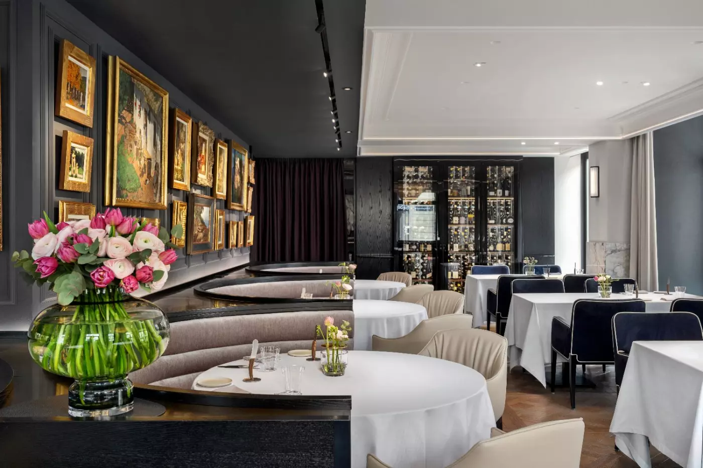 The Amauris Vienna
