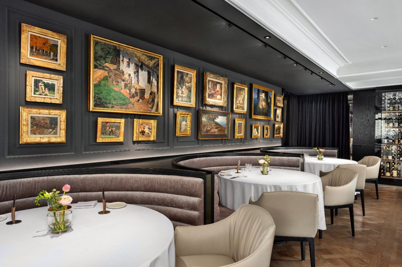The Amauris Vienna