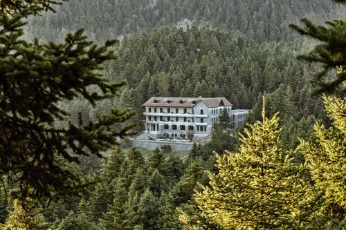 Manna Arcadia