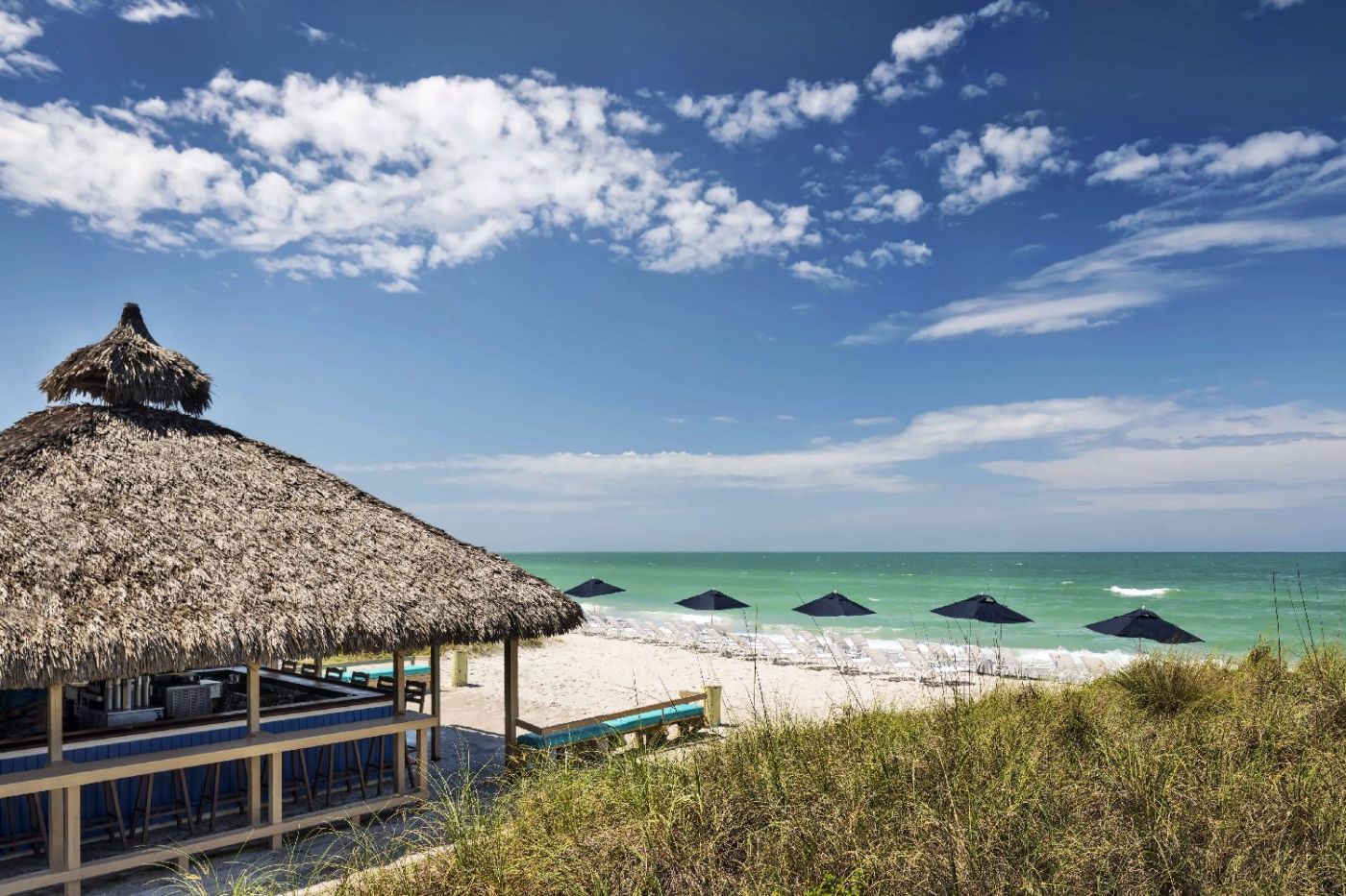 Ritz Carlton Sarasota