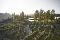 Thumbnail L'AND Vineyards