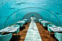 Thumbnail Conrad Maldives Rangali Island