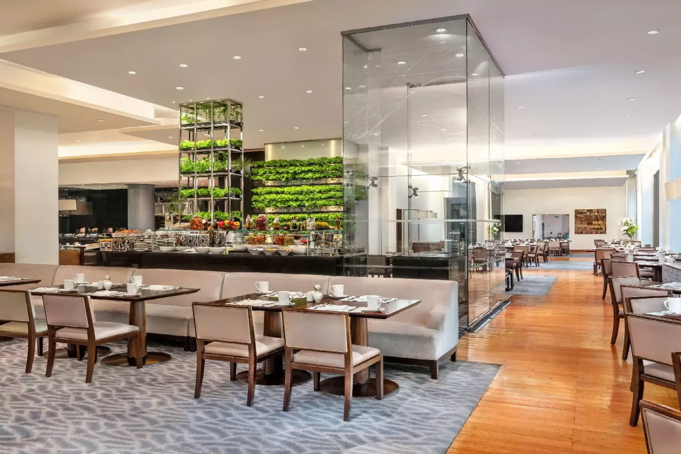 Sofitel Cairo Downtown Nile
