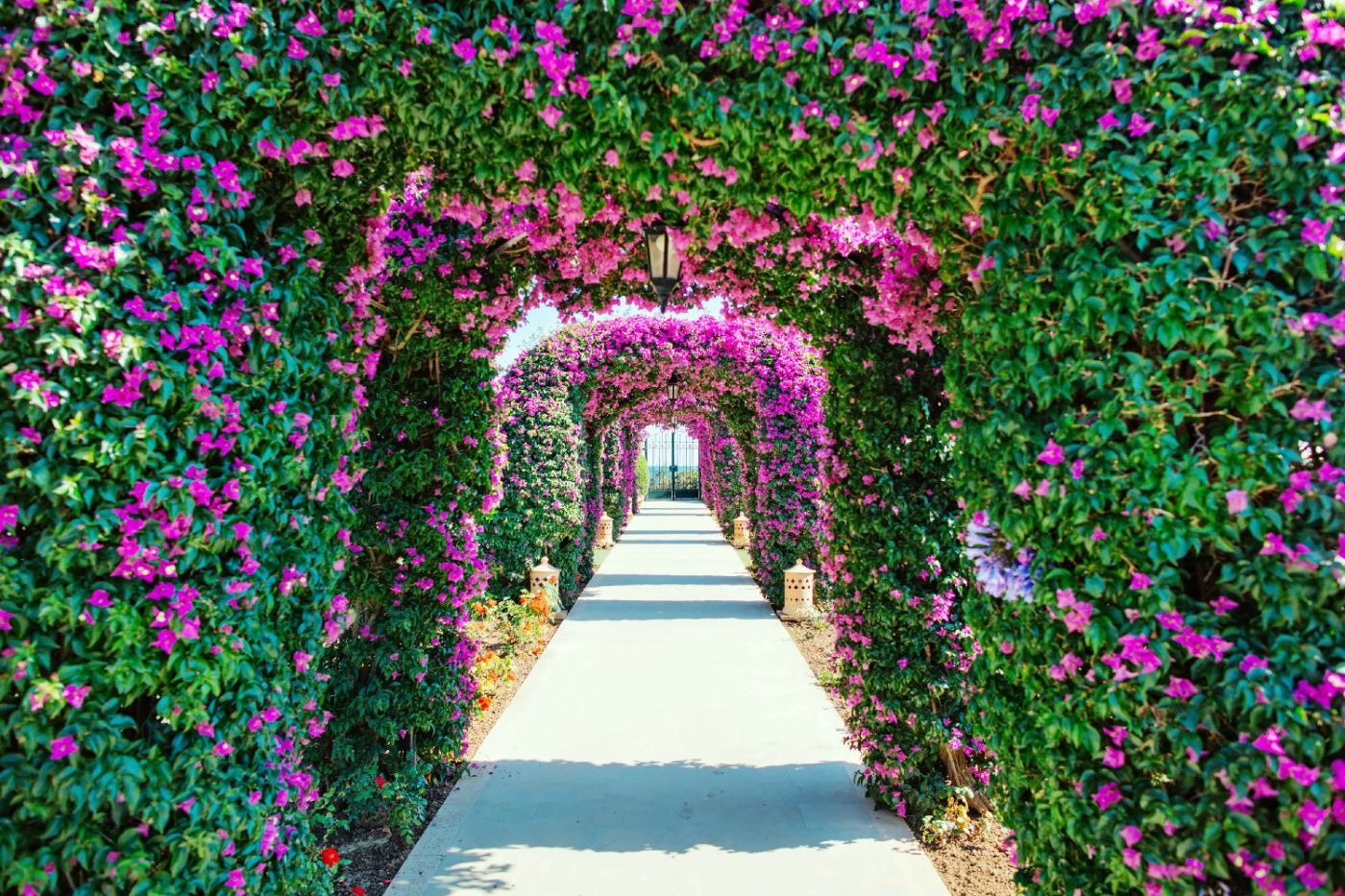 St Regis Mardavall Mallorca