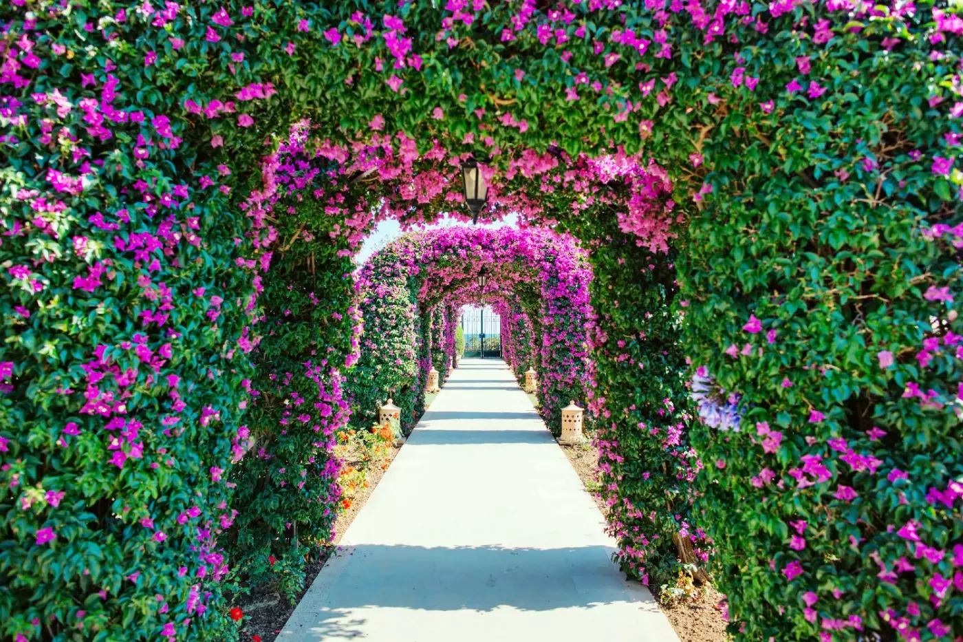 St Regis Mardavall Mallorca