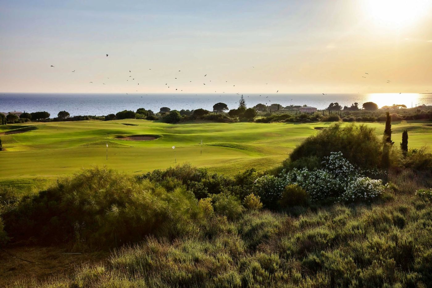 Romanos Costa Navarino