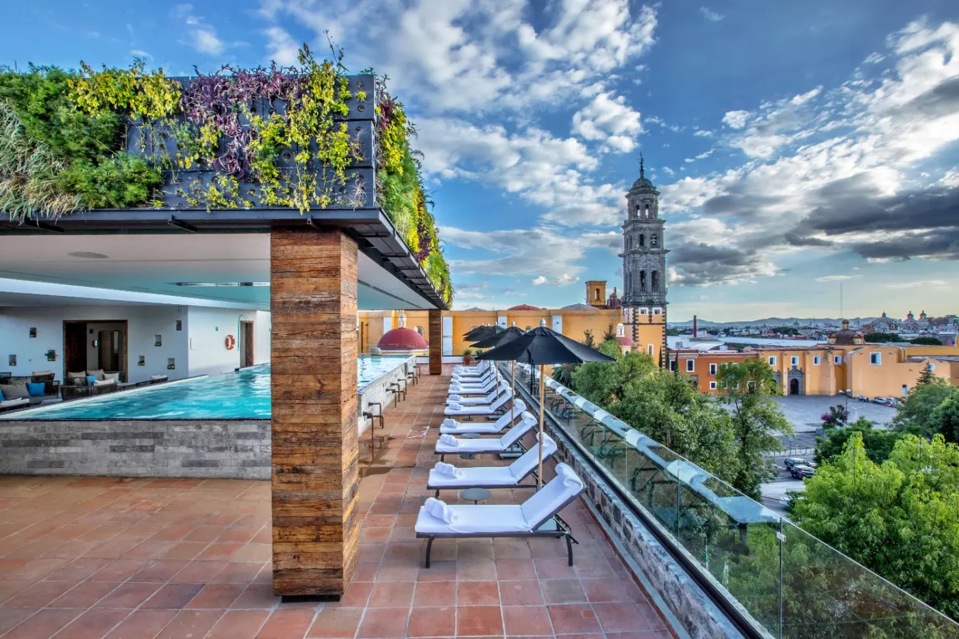 Banyan Tree Puebla