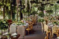 Thumbnail Banyan Tree Puebla