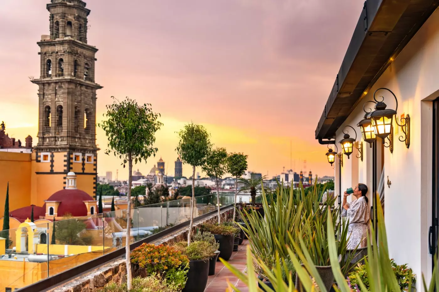 Banyan Tree Puebla