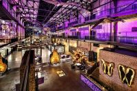 Thumbnail JW Marriott Savannah Plant Riverside District