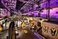 Thumbnail JW Marriott Savannah Plant Riverside District