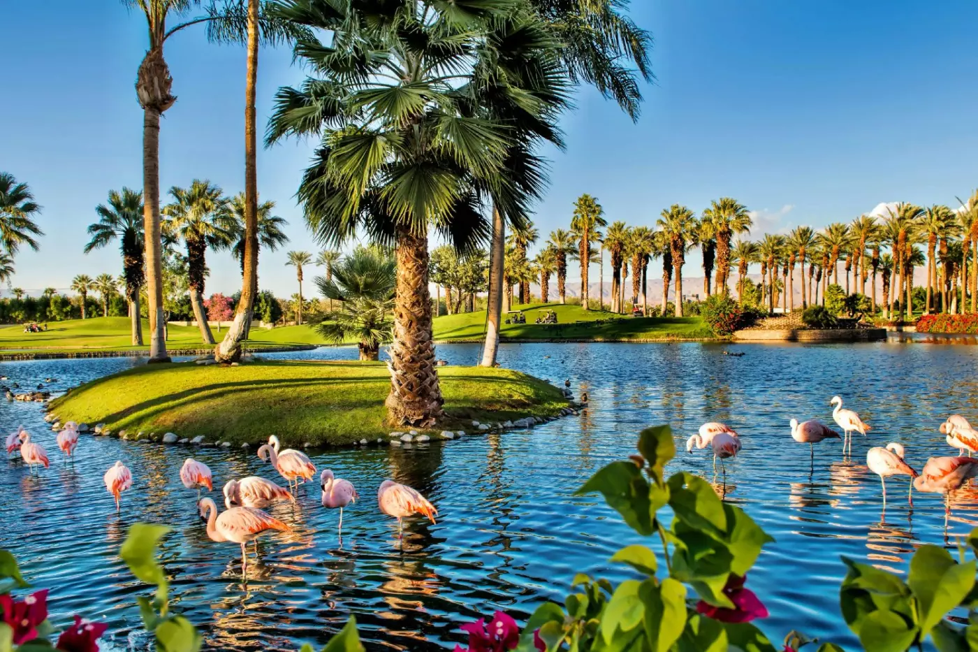 JW Marriott Desert Springs Resort & Spa
