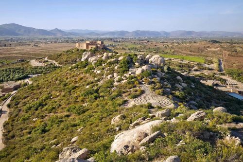 Banyan Tree Veya Valle de Guadalupe