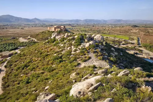 Banyan Tree Veya Valle de Guadalupe