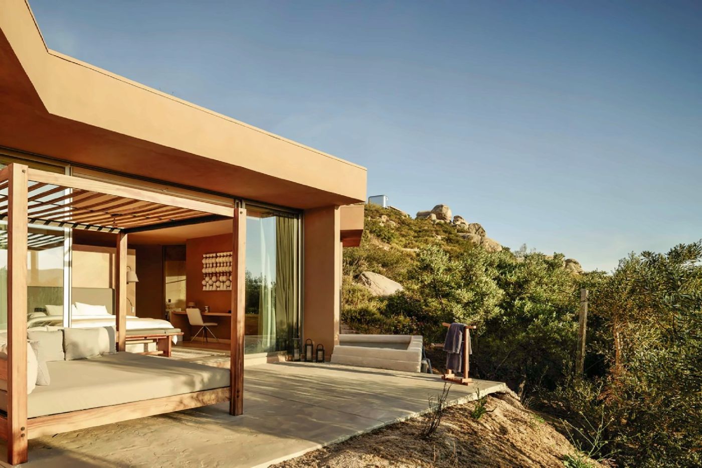 Banyan Tree Veya Valle de Guadalupe