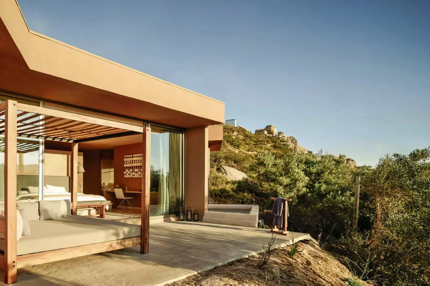 Banyan Tree Veya Valle de Guadalupe