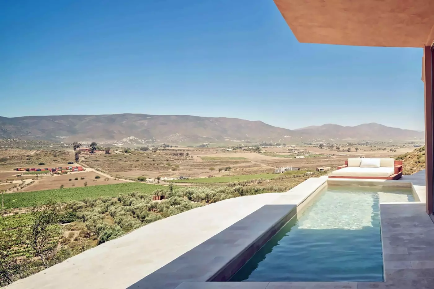 Banyan Tree Veya Valle de Guadalupe