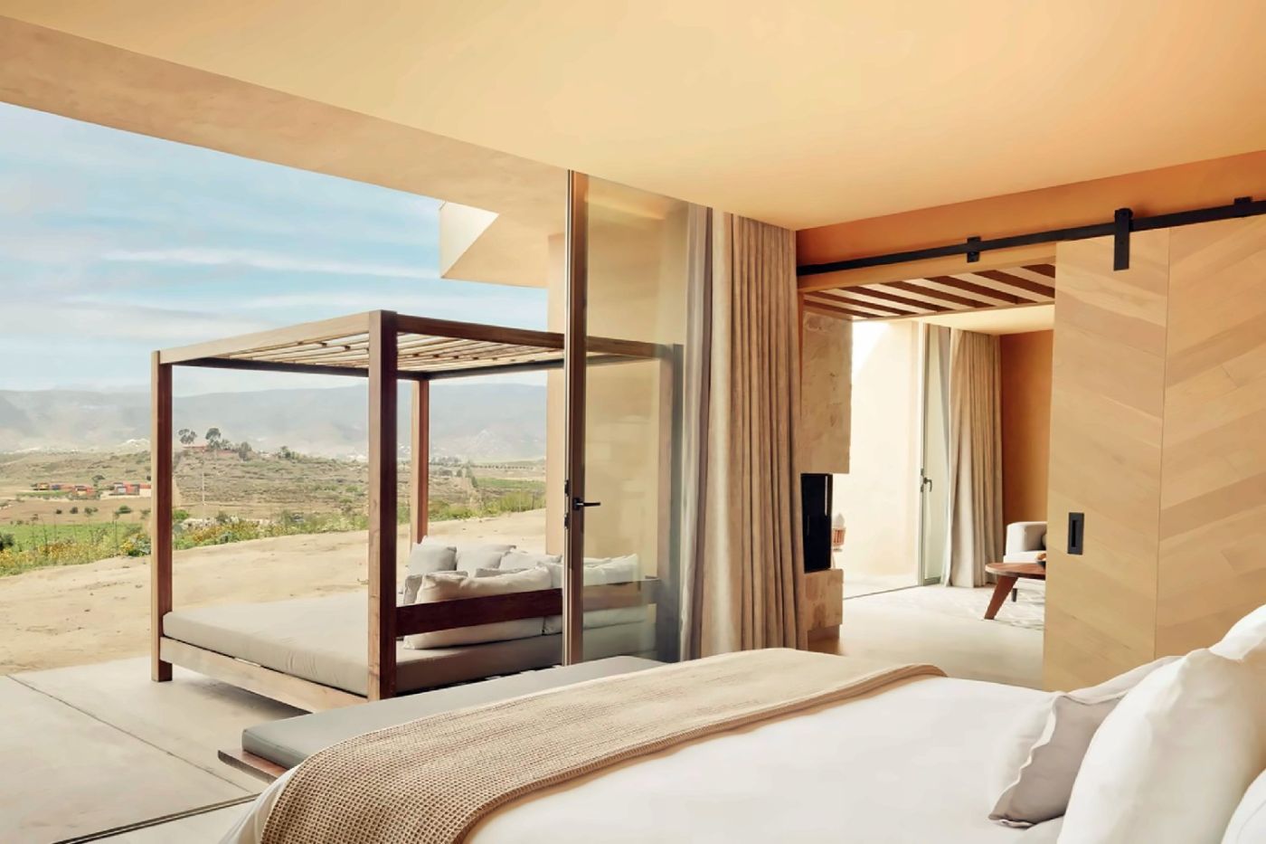 Banyan Tree Veya Valle de Guadalupe