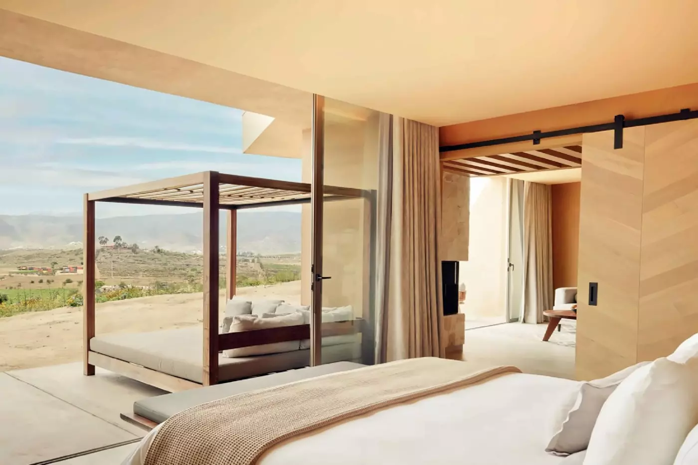 Banyan Tree Veya Valle de Guadalupe