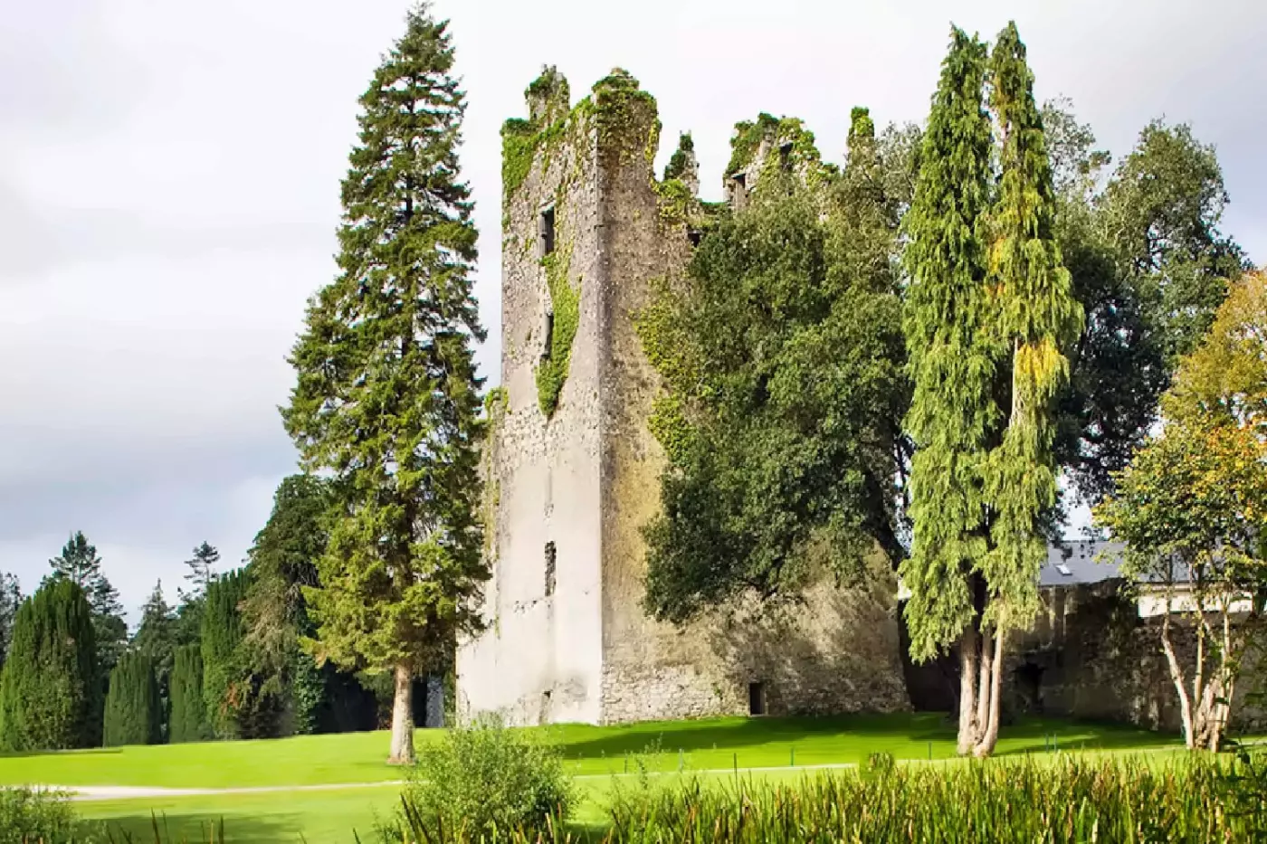 Castlemartyr Resort