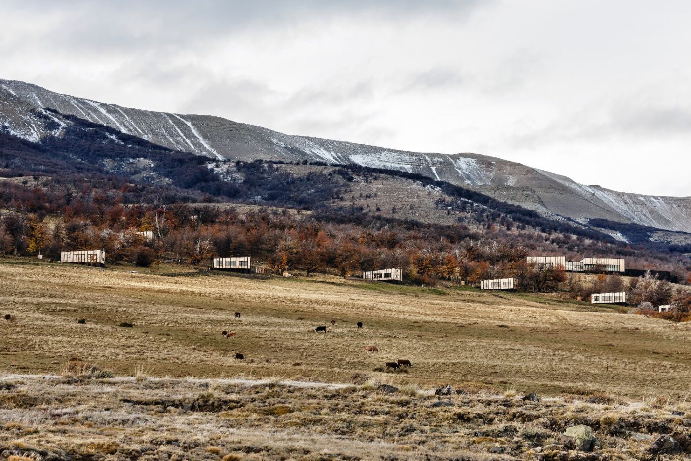 Awasi Patagonia