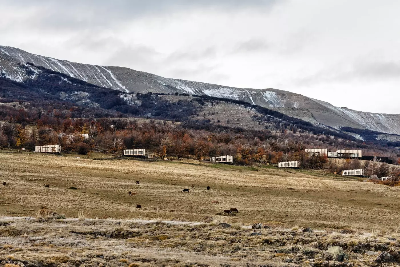 Awasi Patagonia