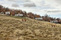 Thumbnail Awasi Patagonia