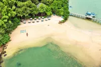 Thumbnail Awasi Santa Catarina