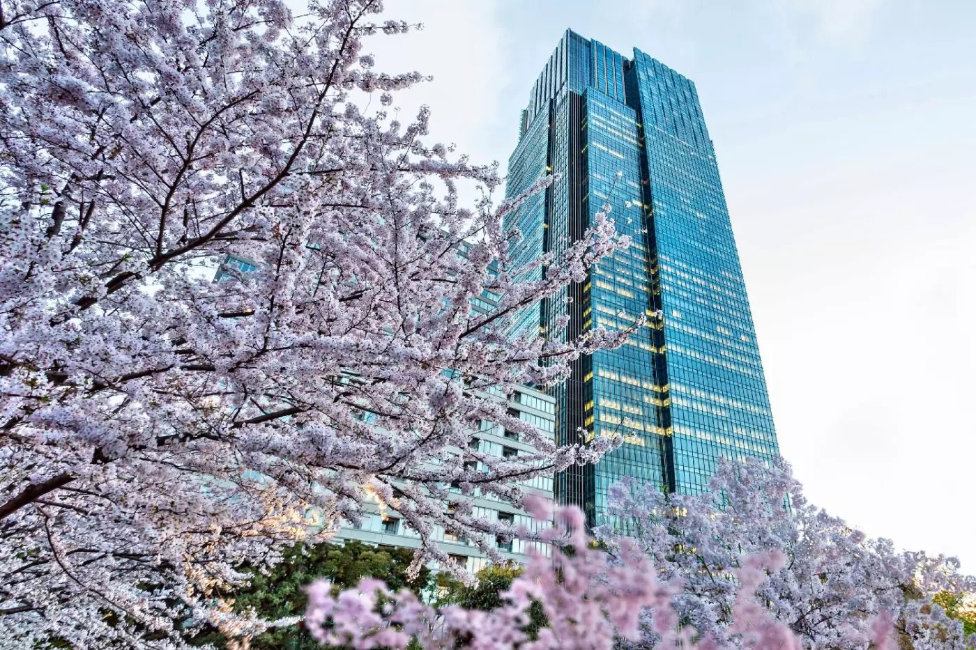 The Ritz-Carlton, Tokyo