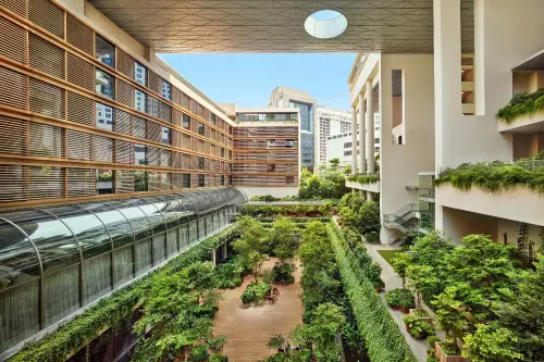 The Singapore Edition