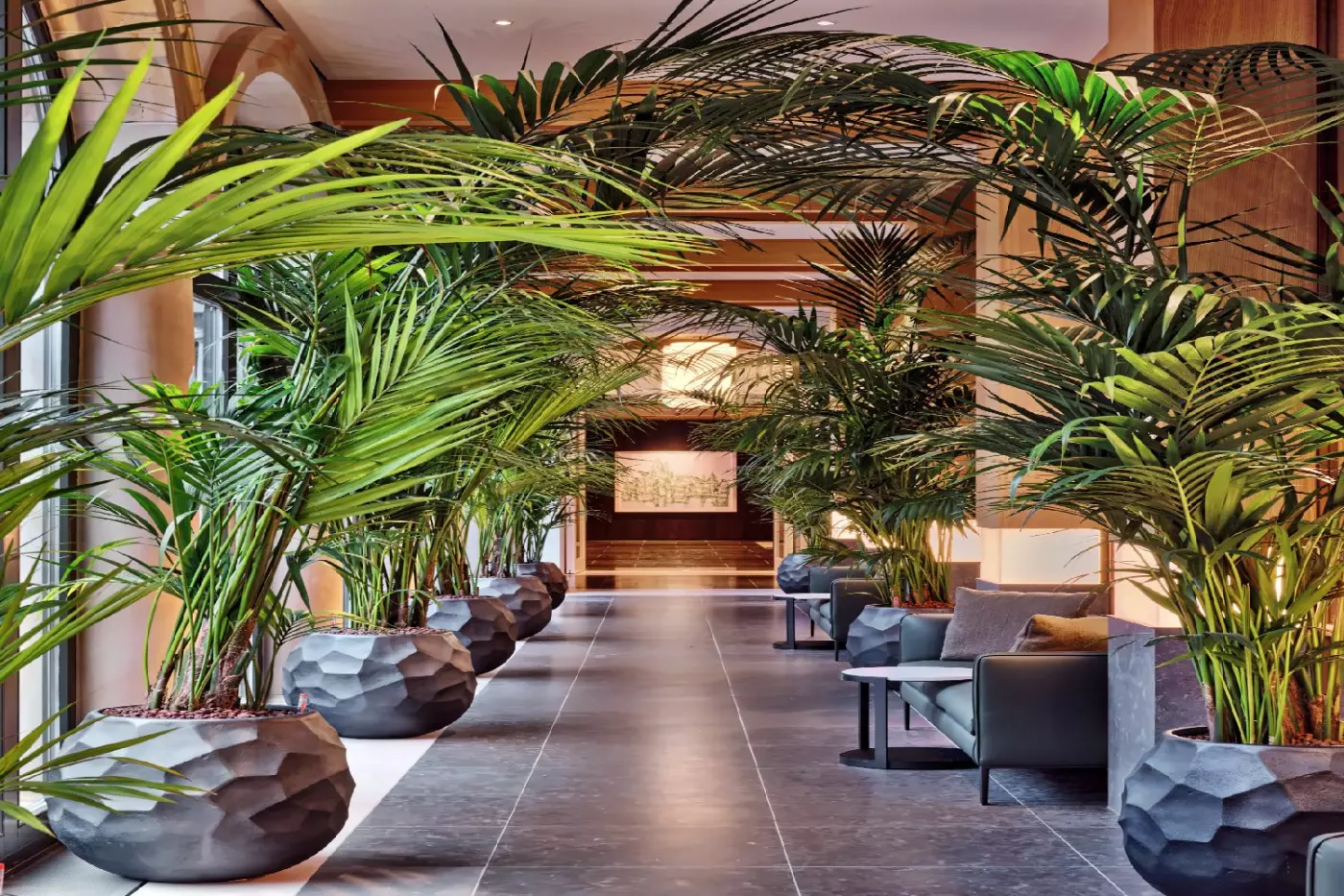 The Florentin Frankfurt